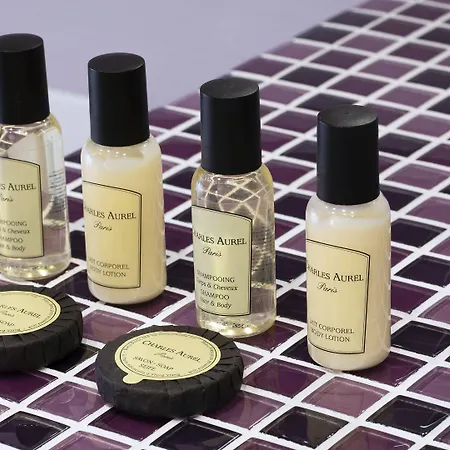 Hotel Du Plat D'etain