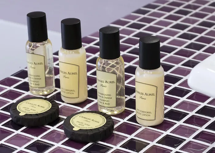 Hotel Du Plat D'etain